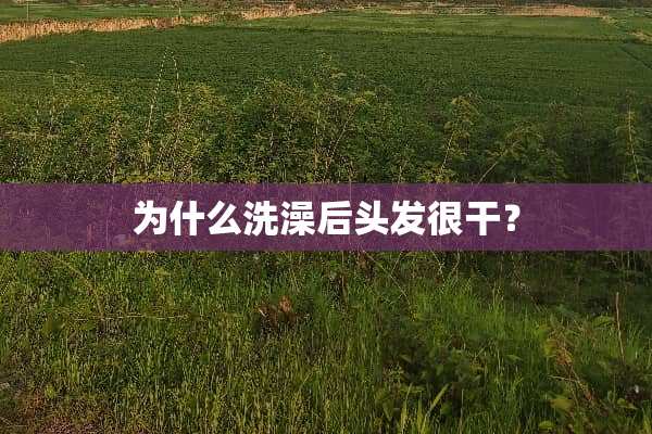 为什么洗澡后头发很干？
