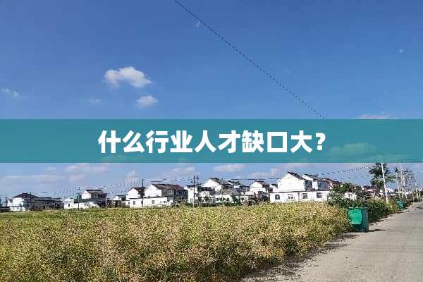 什么行业人才缺口大？