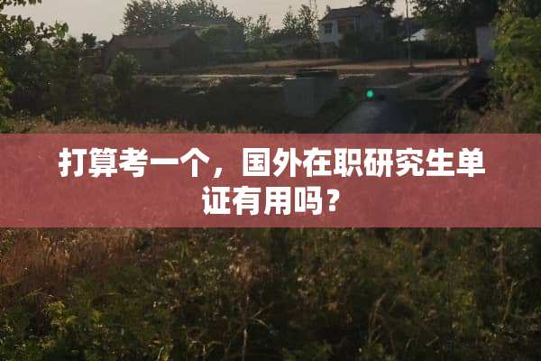 打算考一个，国外在职研究生单证有用吗？
