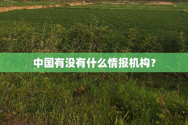 中国有没有什么情报机构？
