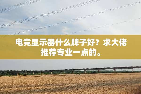 电竞显示器什么牌子好？求大佬推荐专业一点的。