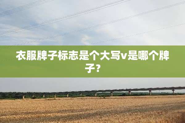 衣服牌子标志是个大写v是哪个牌子？