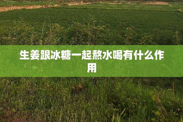 生姜跟冰糖一起熬水喝有什么作用