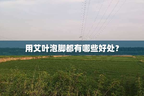 用艾叶泡脚都有哪些好处？