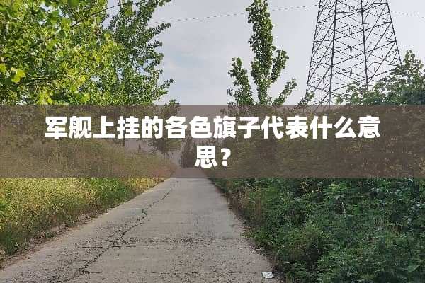 军舰上挂的各色旗子代表什么意思？