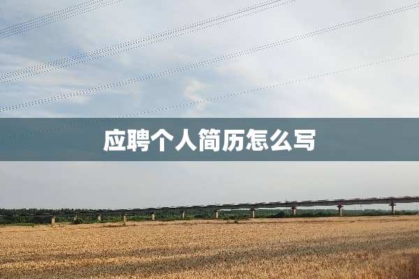 应聘个人简历怎么写
