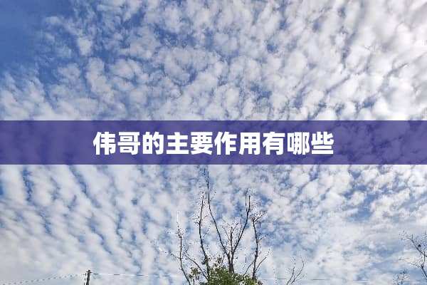 **的主要作用有哪些