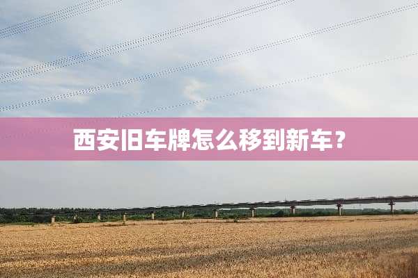 西安旧车牌怎么移到新车？