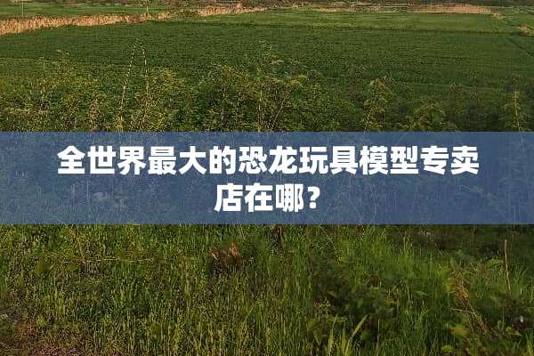 全世界最大的恐龙玩具模型专卖店在哪？