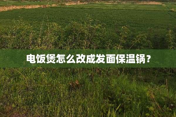 电饭煲怎么改成发面保温锅？