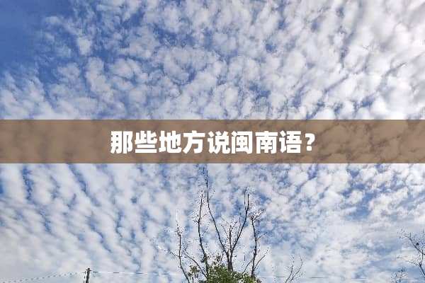 那些地方说闽南语？