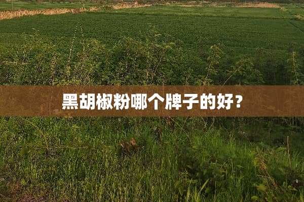 黑胡椒粉哪个牌子的好？