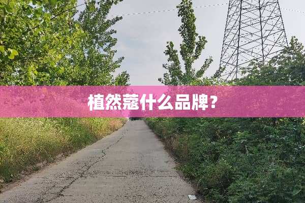 植然蔻什么品牌？