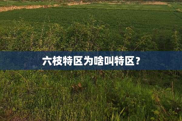 六枝特区为啥叫特区？