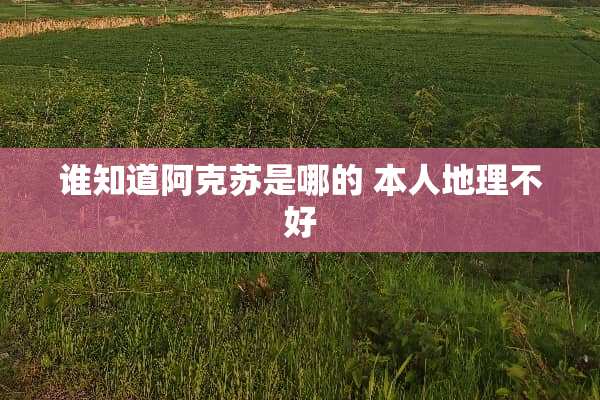 谁知道阿克苏是哪的 本人地理不好