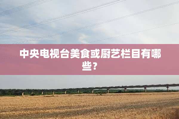 **电视台美食或厨艺栏目有哪些？