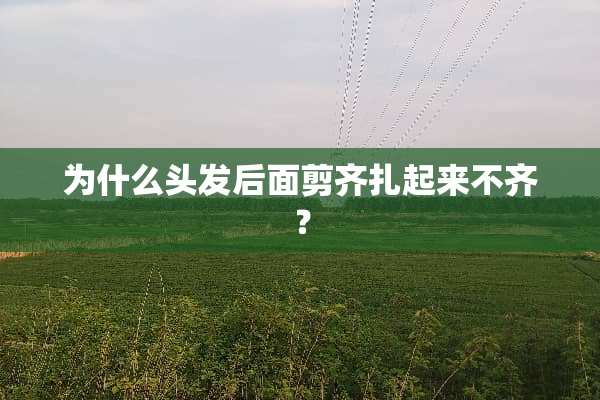 为什么头发后面剪齐扎起来不齐？