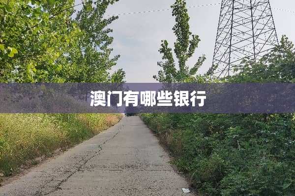 **有哪些银行