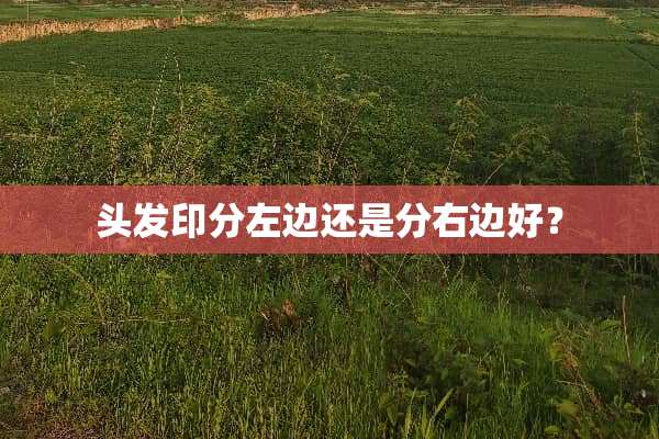 头发印分左边还是分右边好？