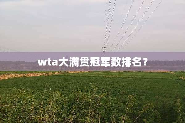 wta大满贯冠军数排名？