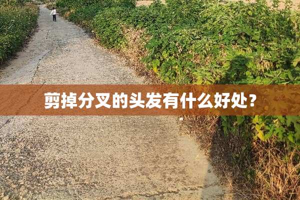 剪掉分叉的头发有什么好处？