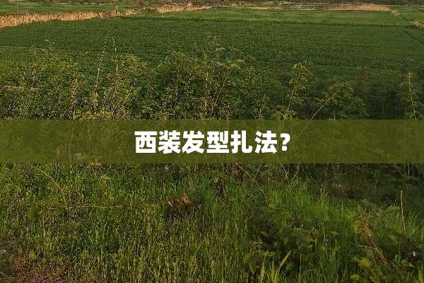 西装发型扎法？