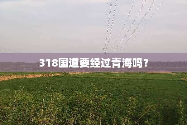 318国道要经过青海吗？