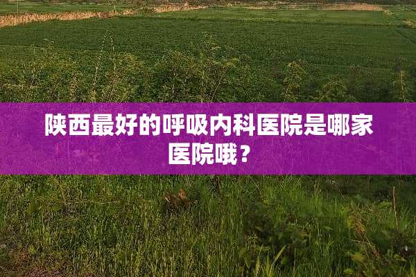 陕西最好的呼吸内科医院是哪家医院哦？