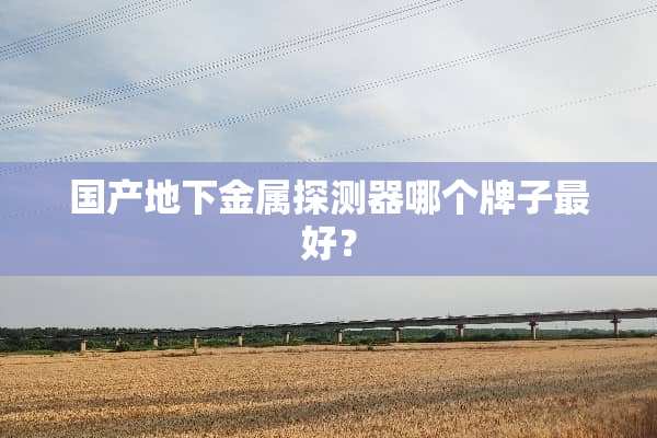 国产**金属探测器哪个牌子最好？