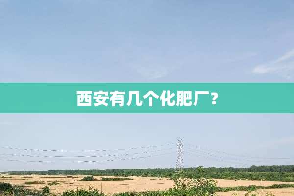 西安有几个化肥厂？