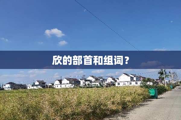 欣的部首和组词？