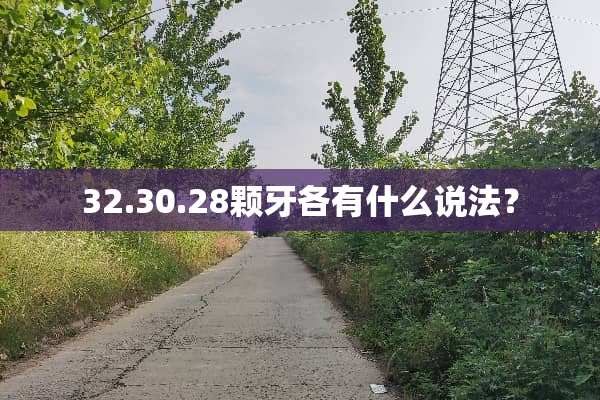 32.30.28颗牙各有什么说法？