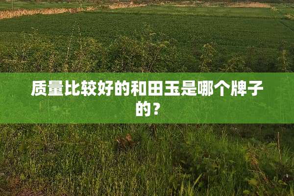 质量比较好的和田玉是哪个牌子的？