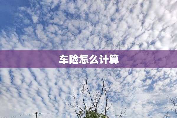 车险怎么计算