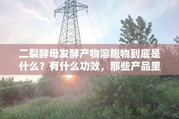 二裂酵母发酵产物溶胞物到底是什么？有什么功效，那些产品里面会添加，求大佬科普？