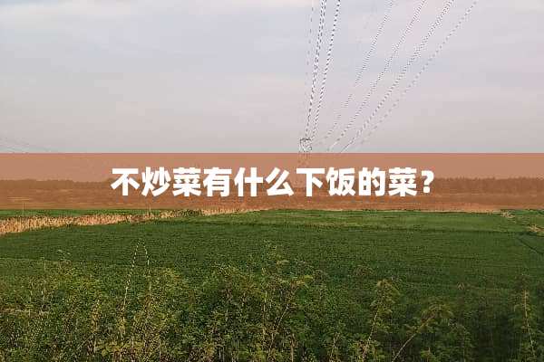 不炒菜有什么下饭的菜？