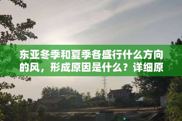 东亚冬季和夏季各盛行什么方向的风，形成原因是什么？详细原因！！！！！急