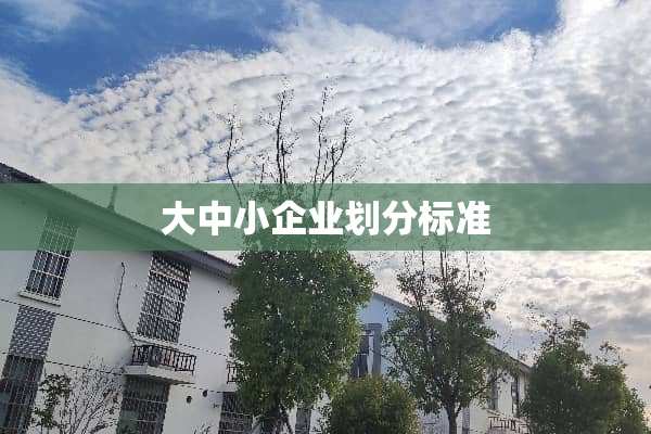 大中小企业划分标准