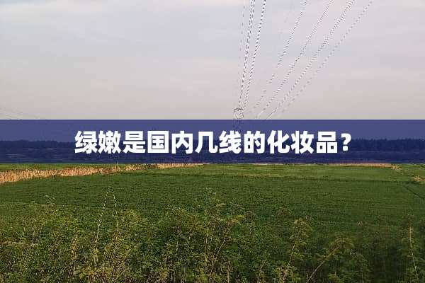 绿嫩是国内几线的化妆品？