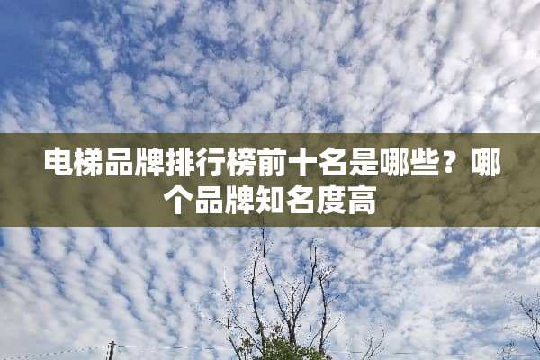 电梯品牌排行榜前十名是哪些？哪个品牌知名度高