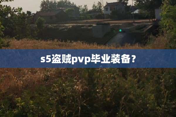 s5盗贼pvp毕业装备？
