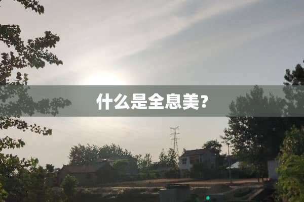 什么是全息美？