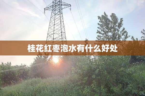 桂花红枣泡水有什么好处