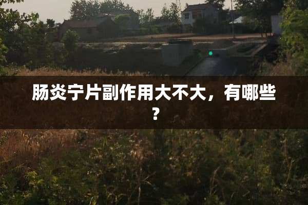 肠炎宁片副作用大不大，有哪些？
