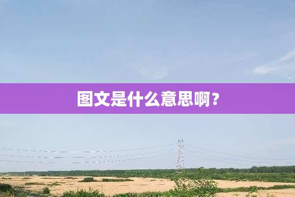 图文是什么意思啊？