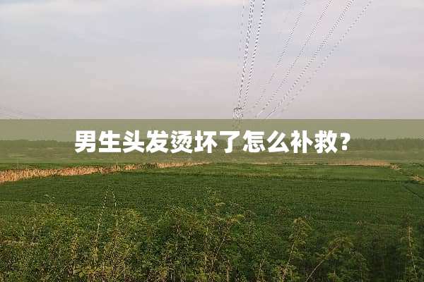 男生头发烫坏了怎么补救？