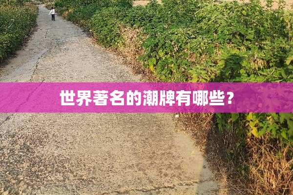 世界著名的潮牌有哪些？