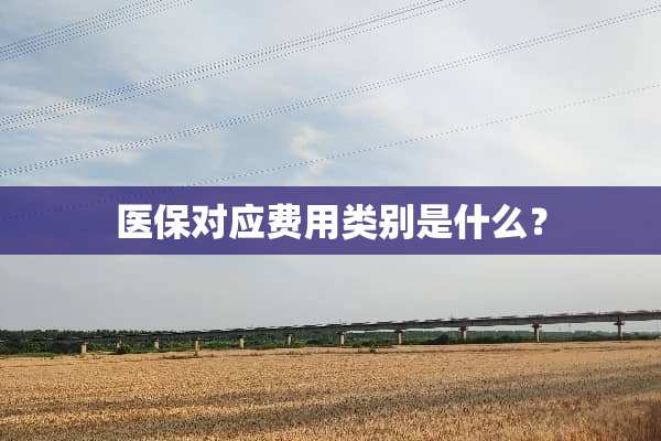 医保对应费用类别是什么？