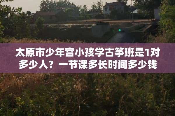 太原市少年宫小孩学古筝班是1对多少人？一节课多长时间多少钱？