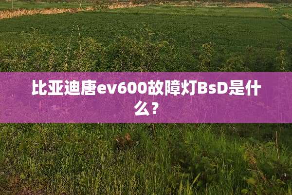 比亚迪唐ev600故障灯BsD是什么？
